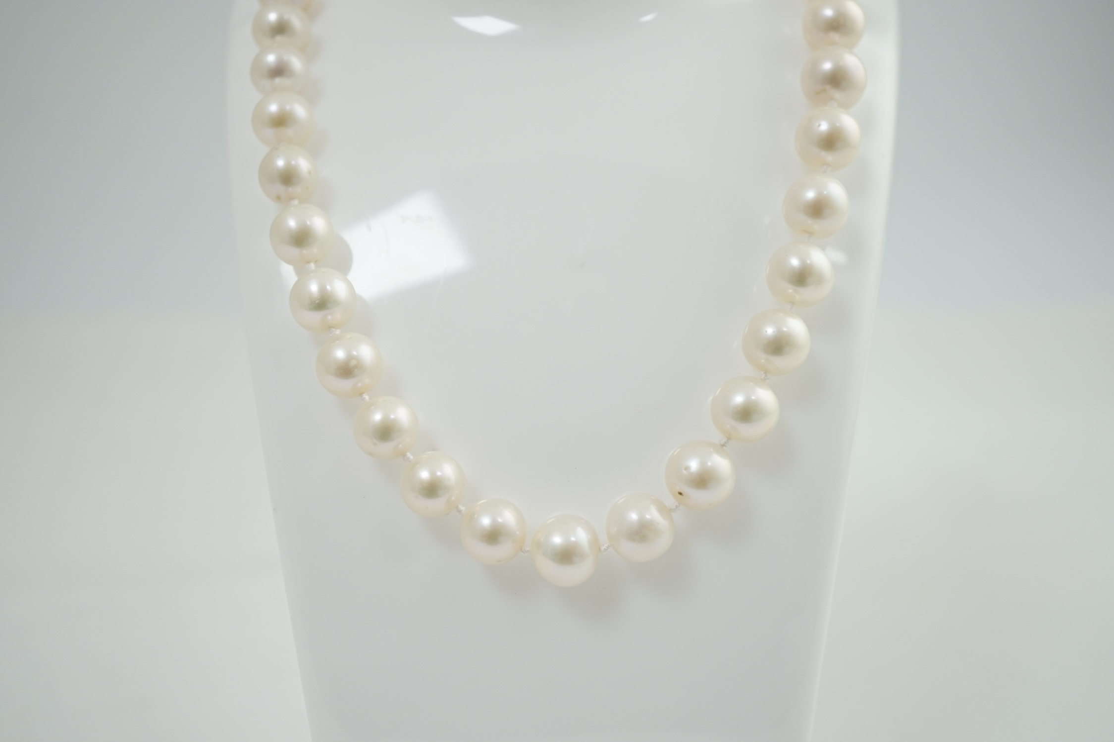 A single strand graduated South Sea pearl necklace, with 18k gold chain and clasp